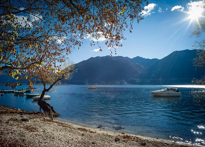 לינה וארוחת בוקר Giardino Minusio