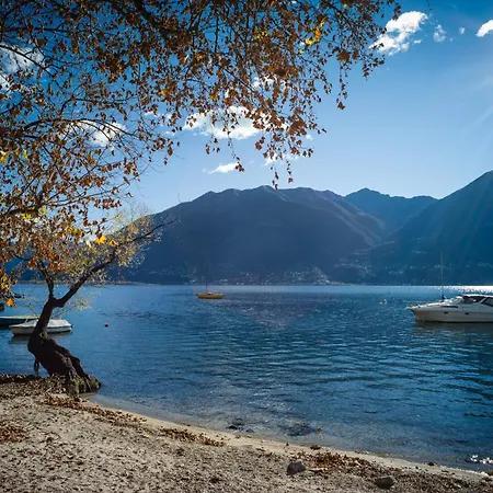 Bed & Breakfast Giardino Minusio